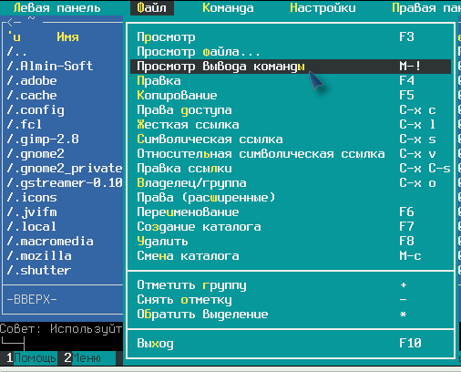 mc 004