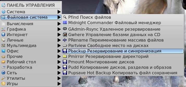 pbackup 003