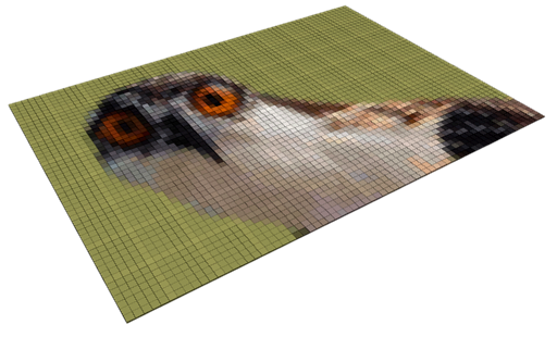 crosti_001.png