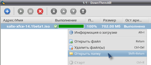 downthemall 024