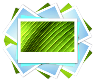 iiview_001.png