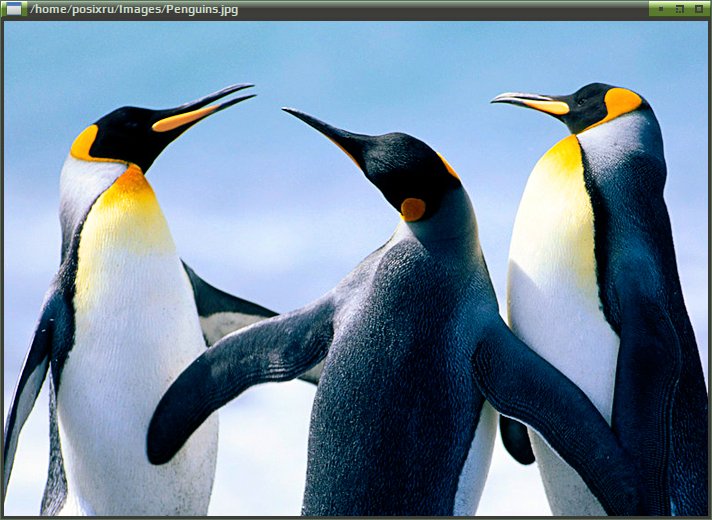 linuxlogo 003