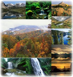 photocollage_001.png