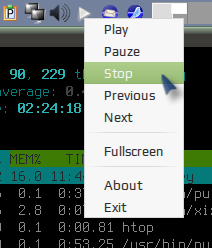 xix player 014