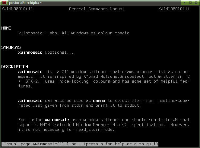 xwinmosaic 002