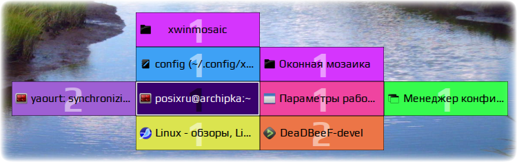 xwinmosaic 004