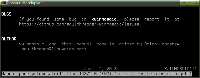 xwinmosaic 011