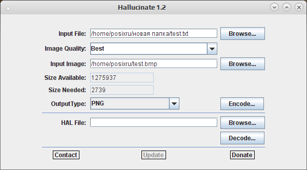hallucinate 002