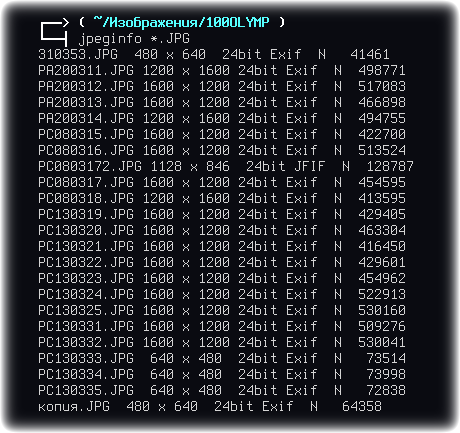 jpeginfo 004