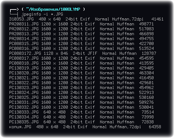 jpeginfo 008