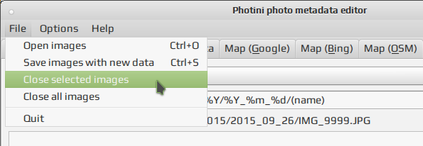 photini 011