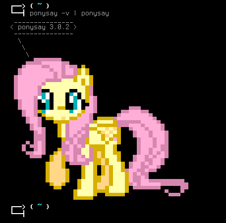 ponysay 013