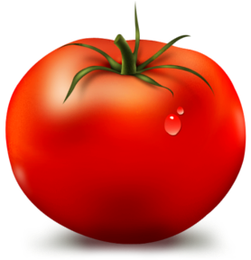 tomate_001.png