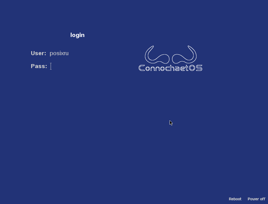 connochaetos142 058