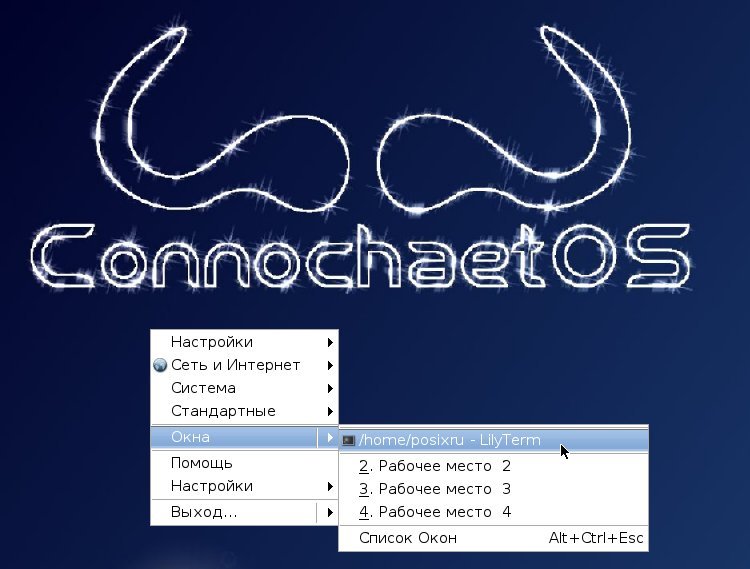 connochaetos142 074