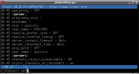 irssi 008