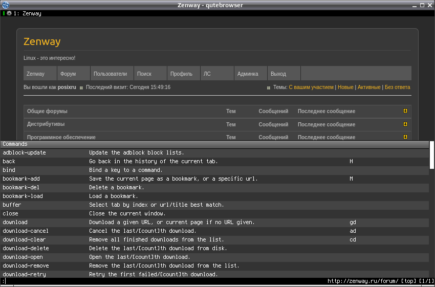 qutebrowser 006