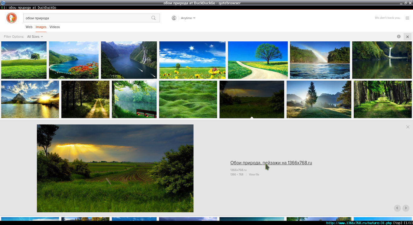 qutebrowser 009