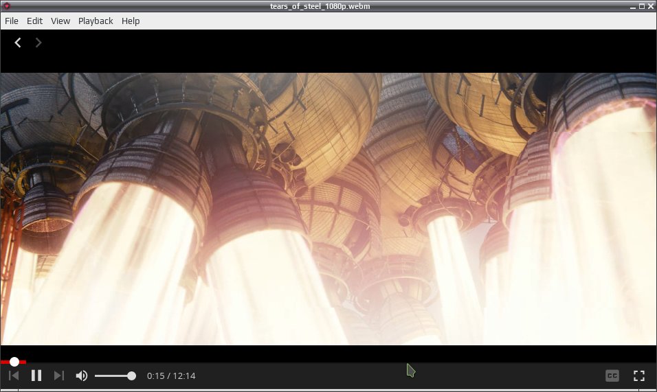 webtorrent 005