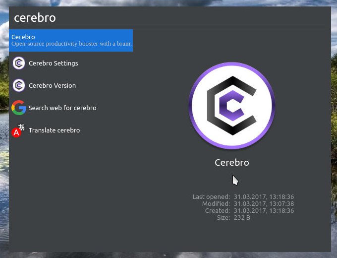 cerebro 014