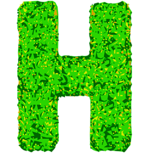 hatari-001.png