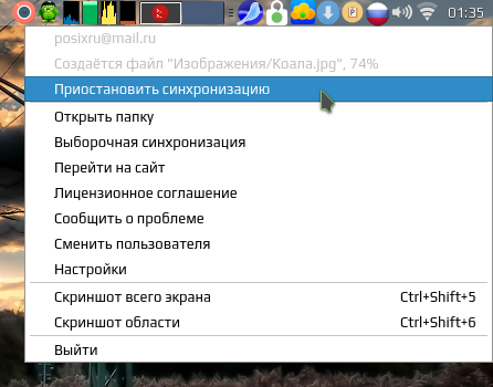 mailru 006