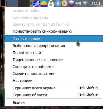 mailru 011