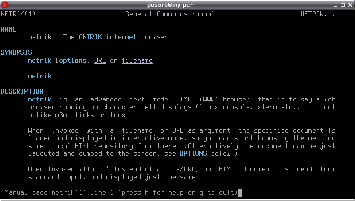 netrik 002
