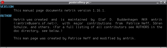 netrik 008