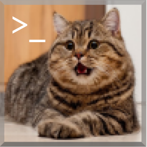 timg-001.png