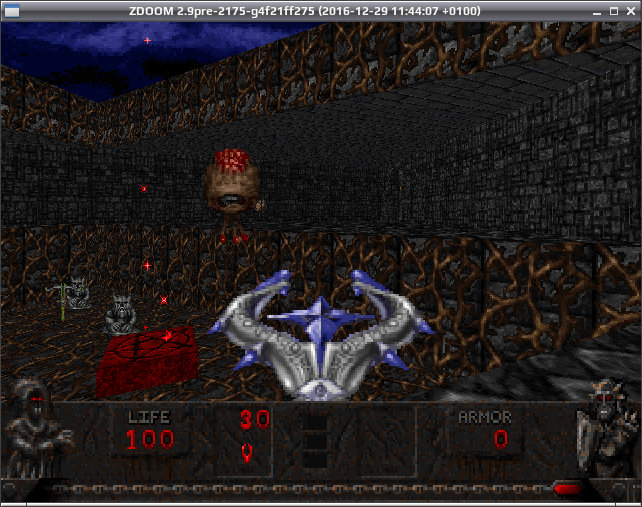 zdoom 007