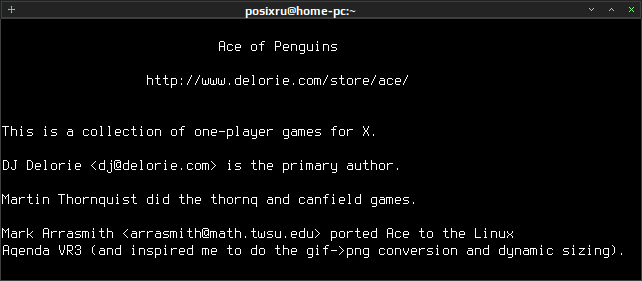 ace of penguins 015