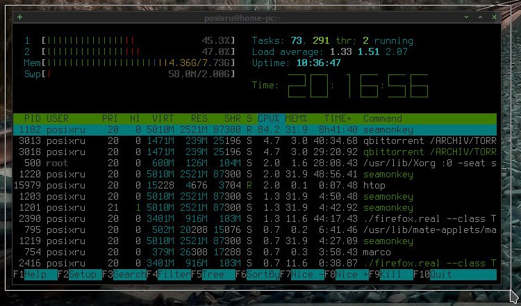 gifcast 003