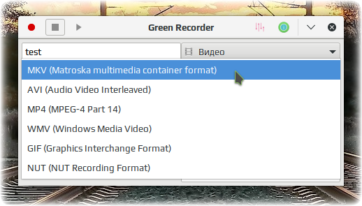 green recorder 004