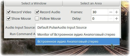 green recorder 005