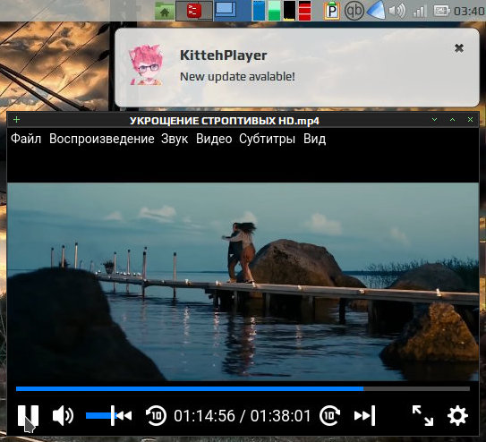 kittehplayer 012