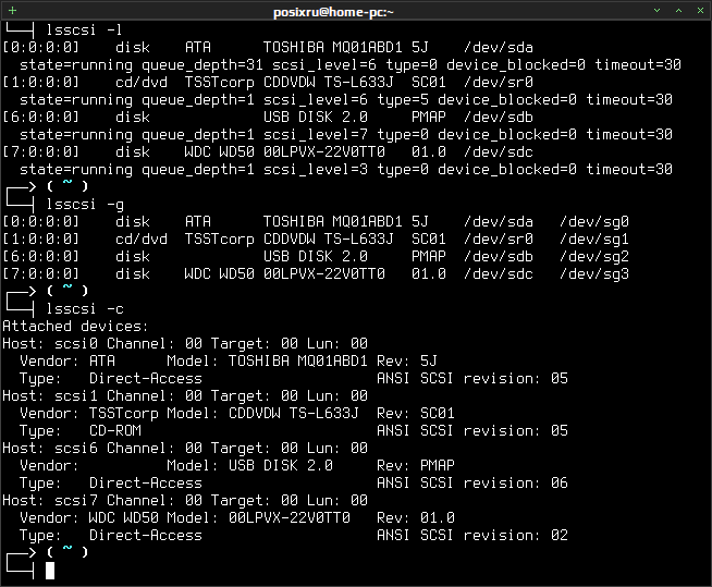 lsscsi 007
