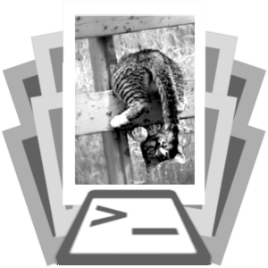 photoname-001.png