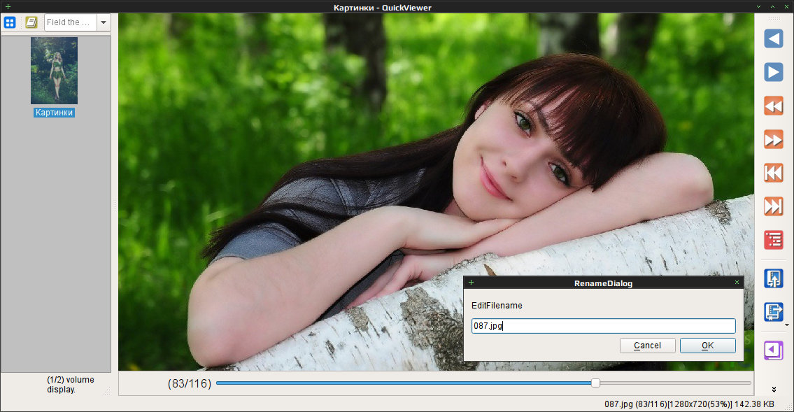 quickviewer 011