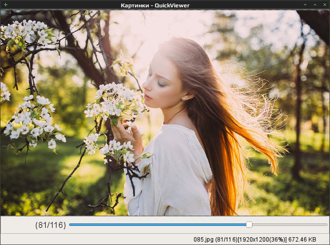 quickviewer 013