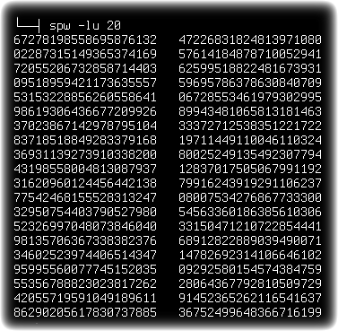 spw 008