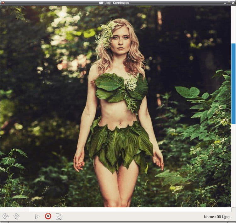 coreimage 004