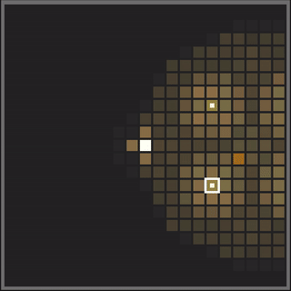 fara 010