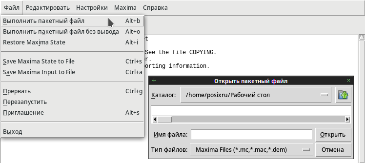 maxima 009
