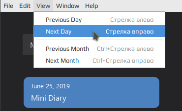mini diary 011