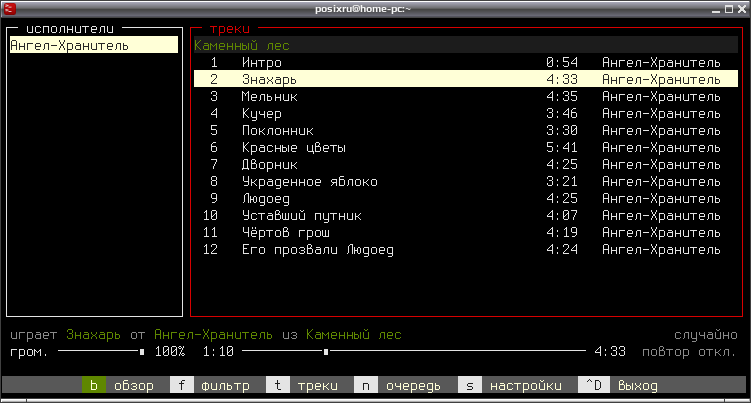 musikcube 011