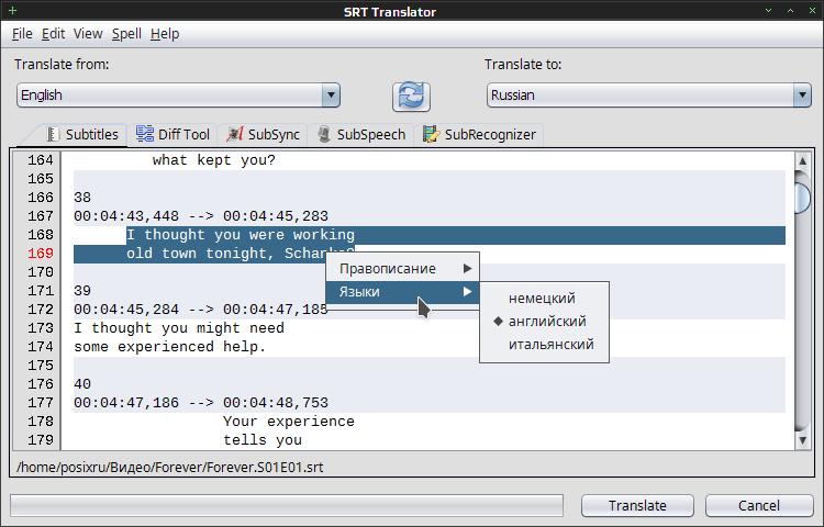 srt translator 004