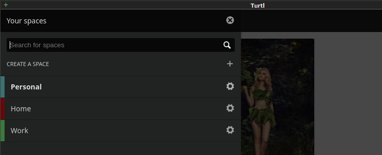 turtl 014