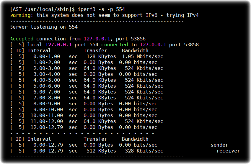 iperf 008