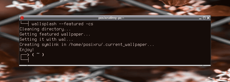 wallsplash 008
